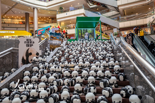 大熊猫巡展 呼吁生物多样性保护【2】