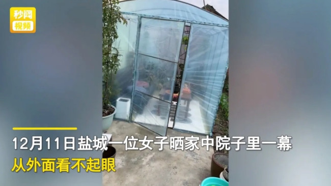 女子晒公公打造的花房惊艳网友:太惬意了