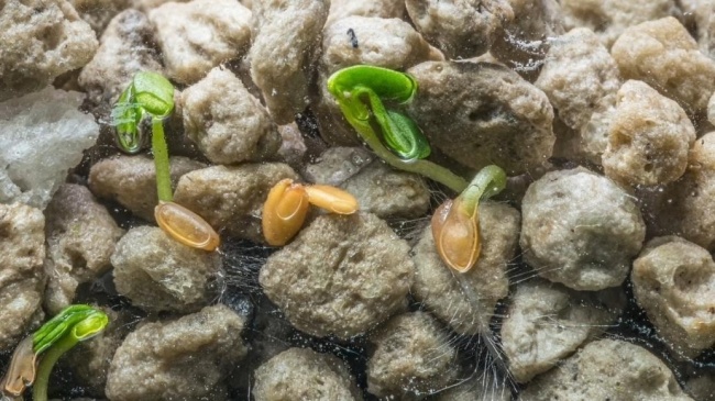 微信图片_20221212155734.png?x-oss-process=style/w10