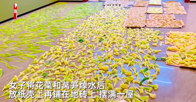 女子开地暖晒干菜7天后全粘地砖上