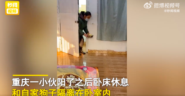 妈妈给阳性儿子送饭狗子一拥而上