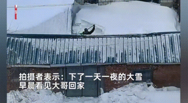 大雪下满院 男子挖半天还没进屋：大哥早晨回家傻眼