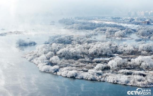 韩国昭阳湖畔水雾缭绕 形成绝美湖景