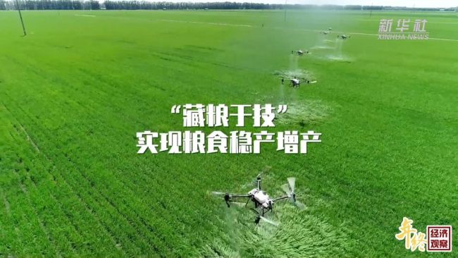 年终经济观察｜全方位夯实粮食安全根基 端稳中国饭碗