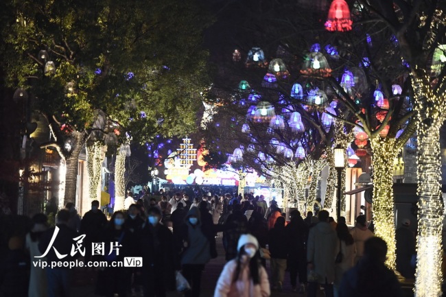 江苏南京：花灯璀璨迎新年【5】