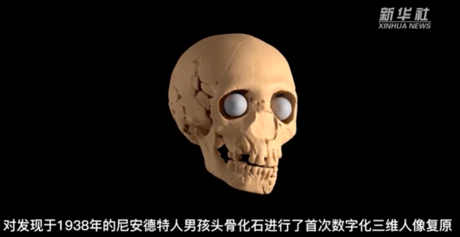 4万年前8岁男孩容貌再现