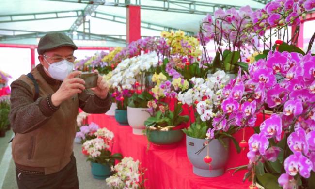 新华全媒+丨广西：迎春花市绽放新春“暖”意
