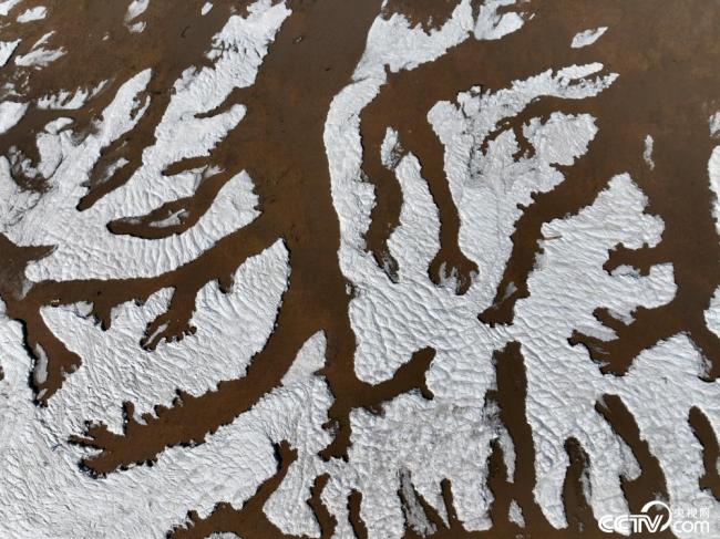 江蘇連雲港：海灘冰層形成“潮汐樹”景觀