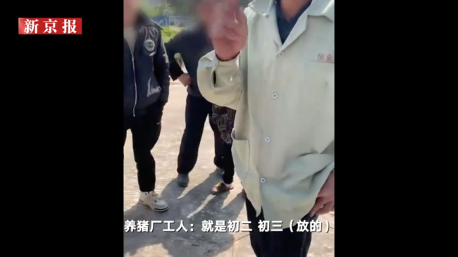 泡了6天才发现：储水池现15头死猪数百户喝池里水！