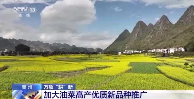 万象“耕”新丨全国备春耕从南到北陆续展开