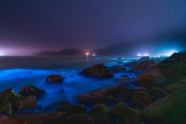 遇见“蓝眼泪”！广东珠海现超美“荧光海”景观