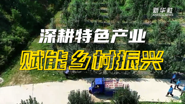 强信心·开新局｜深耕特色产业赋能乡村振兴