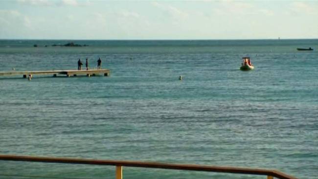 澳洲一游客被鲨鱼袭击身亡，网友：人类应尊重鲨鱼的生存空间