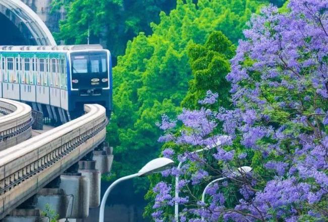 上天入地穿花海，这里的列车不一般！