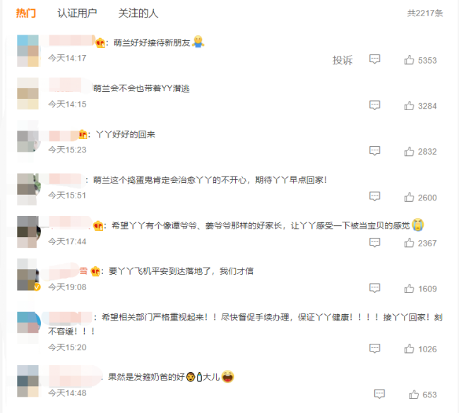 丫丫回国后将和大熊猫萌兰做邻居 网友齐赞：合适