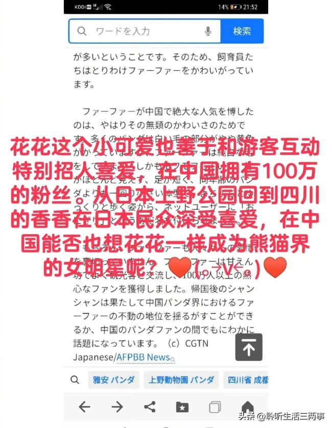 日本网友评价大熊猫花花 香香回国后地位不稳？