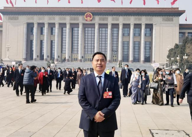 代表建议尽快将牡丹定为国花，你心中的国花是什么花？