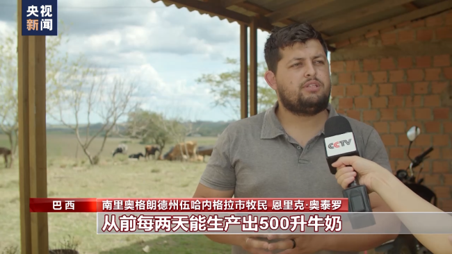 巴西南部持续干旱 农牧民生计面临挑战
