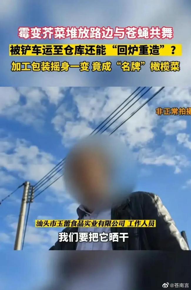 脚踩腌菜工厂已停产查封：菜叶发黑散发腐臭苍蝇乱飞