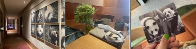 顶流熊猫“花花”拉动经济 不愧是顶流，我花实红 