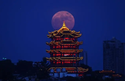 乘客背向坐电梯拍黄鹤楼地铁紧急调整