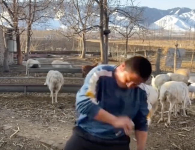 男子镜头前嗨舞被羊顶翻，羊：我忍你很久了