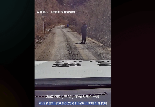 民警巡逻偶遇大熊猫路边发呆：“确认过眼神 遇到对的人！”