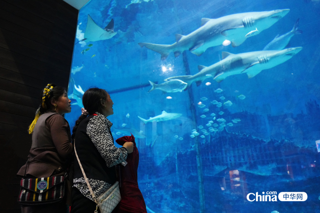 西藏基层妇联干部登长城、游览北京市动物园和海洋馆