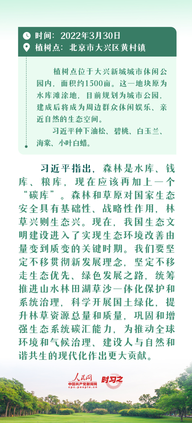 时习之 绘出美丽中国的更新画卷 与总书记一起厚植绿色未来