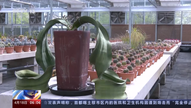 我国首个国家植物园设立一周年