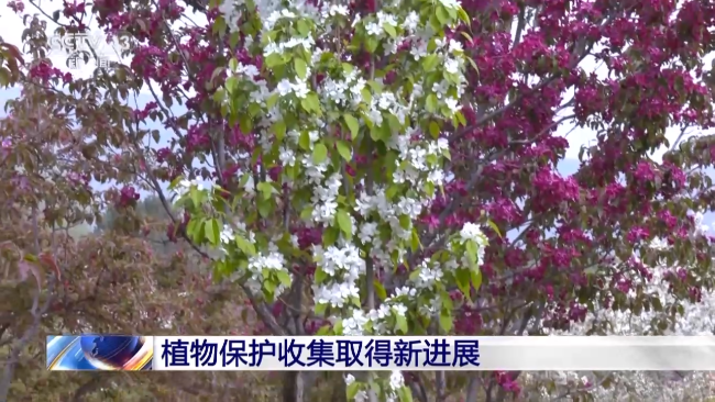 我国首个国家植物园设立一周年