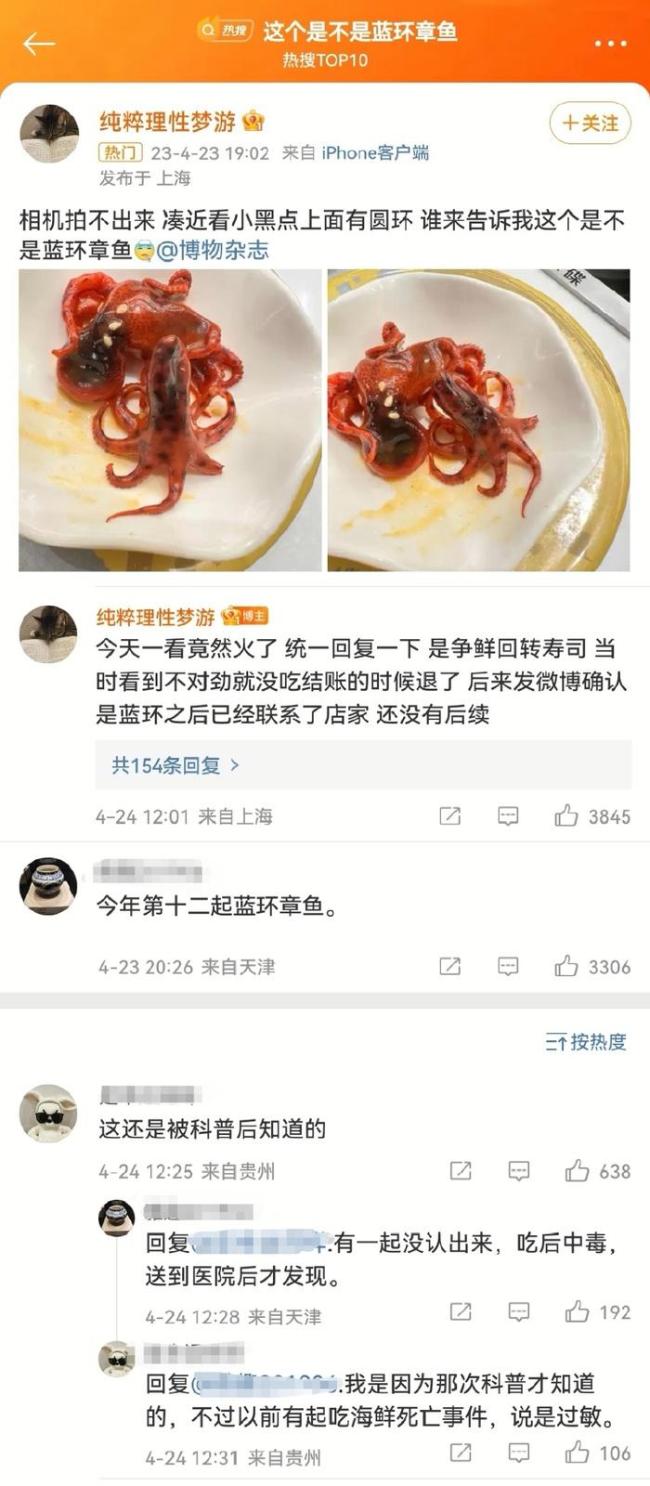 知名连锁日料餐厅现剧毒“蓝环章鱼” 其毒没有解药