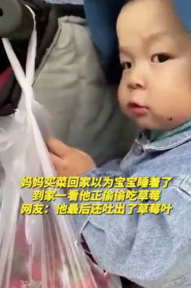 2岁宝宝偷偷抠破袋子吃草莓 宝妈：以为他睡着了呢