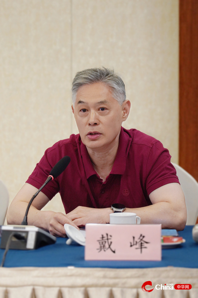 民政部长青老龄社会发展研究院秘书长戴峰发言
