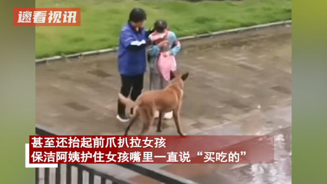保洁保护被狗围着的女孩，让狗狗跟着自己