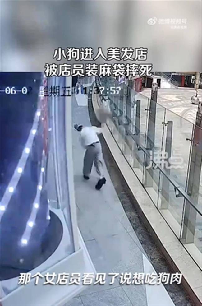 男店员将误入店内小狗摔死 只因女店员说想吃狗肉火锅