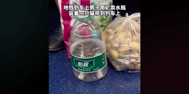 男子用水瓶装猫上地铁 网友：这只哈基米怎么进去的！？太6了！