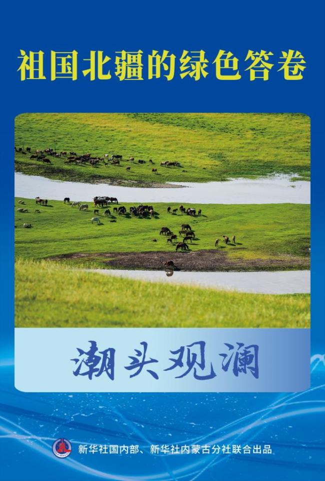 潮头观澜丨祖国北疆的绿色答卷