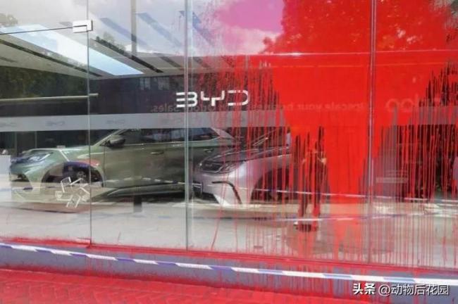 曝比亚迪香港多店被破坏：遭泼红油漆或撞闸门