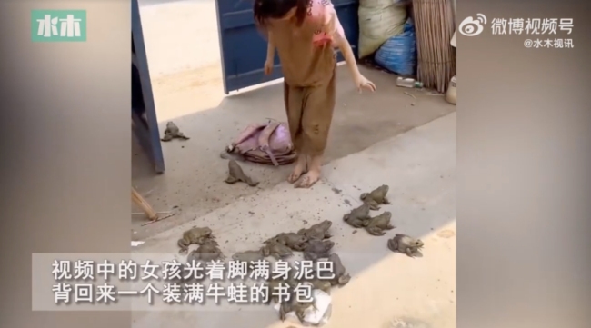 小女孩抓牛蛙后满身是泥，女孩抓牛蛙回家被逮到