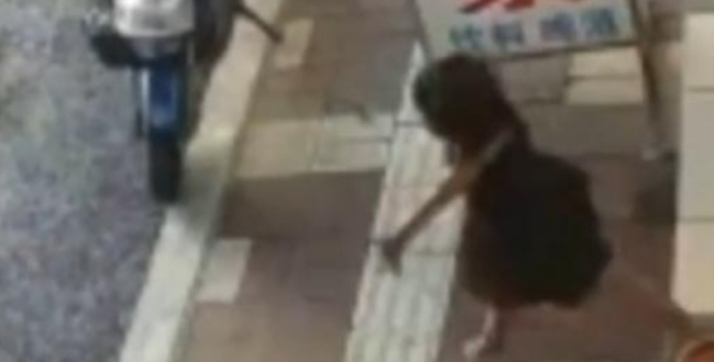 警方辟谣佛山女孩被遗弃：不是遗弃