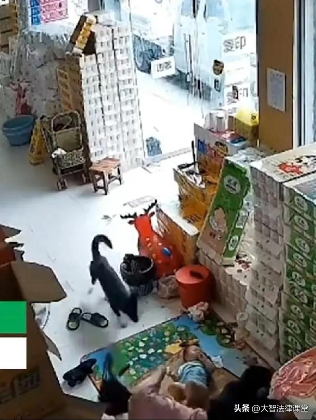 恶犬进入店内咬人被制服 事情引起网友们不同的意见