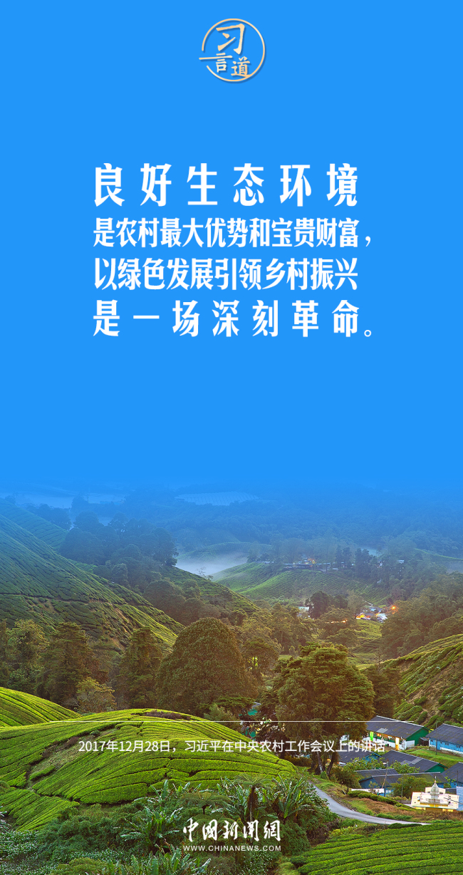 【乡村之美】习言道｜为老百姓留住鸟语花香田园风光