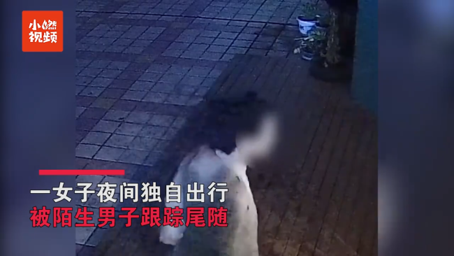 女子被尾随后躲进宠物店，狗狗助力众人成功解围