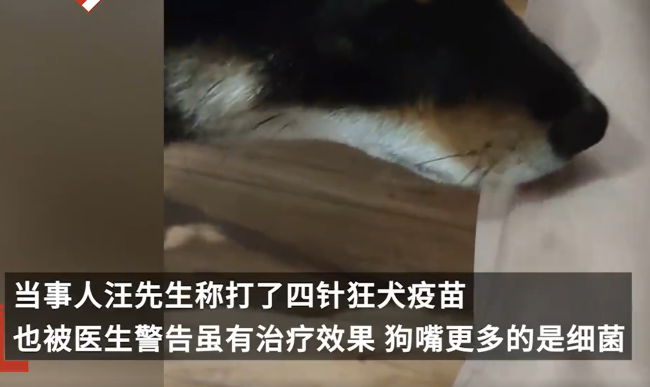 男子受伤后让狗舔伤口：看到网友评论赶紧去医院打狂犬疫苗