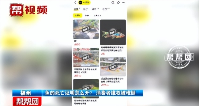 男子被让开鱼的死亡证明 平台回应：为了判定责任在哪一方