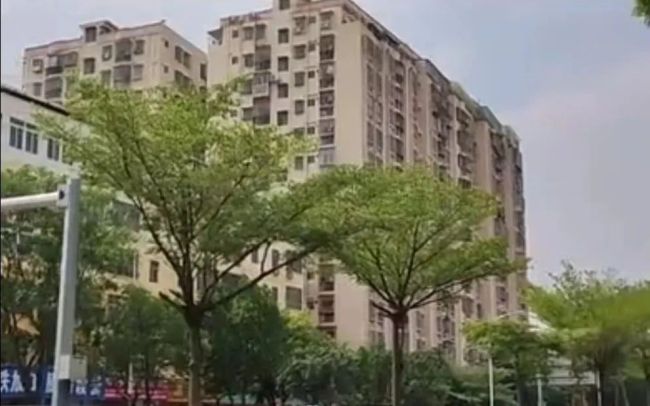 深圳一大厦异响振动后续 下一步将对百富兴大厦进行全面加固处理