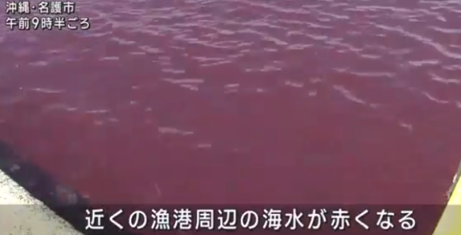 日本冲绳啤酒厂泄漏事故 附近大片河流和海水被染红