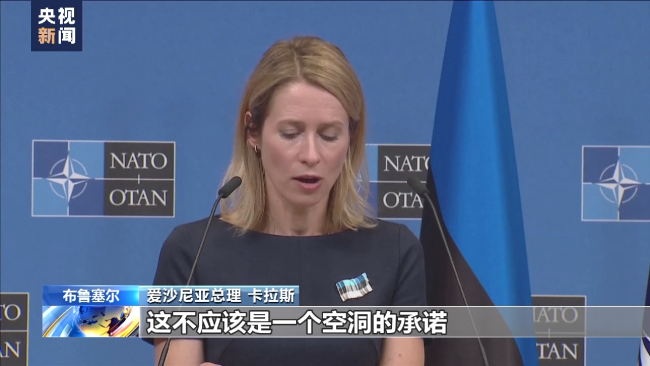 乌克兰能否“入约” 北约内部仍存分歧