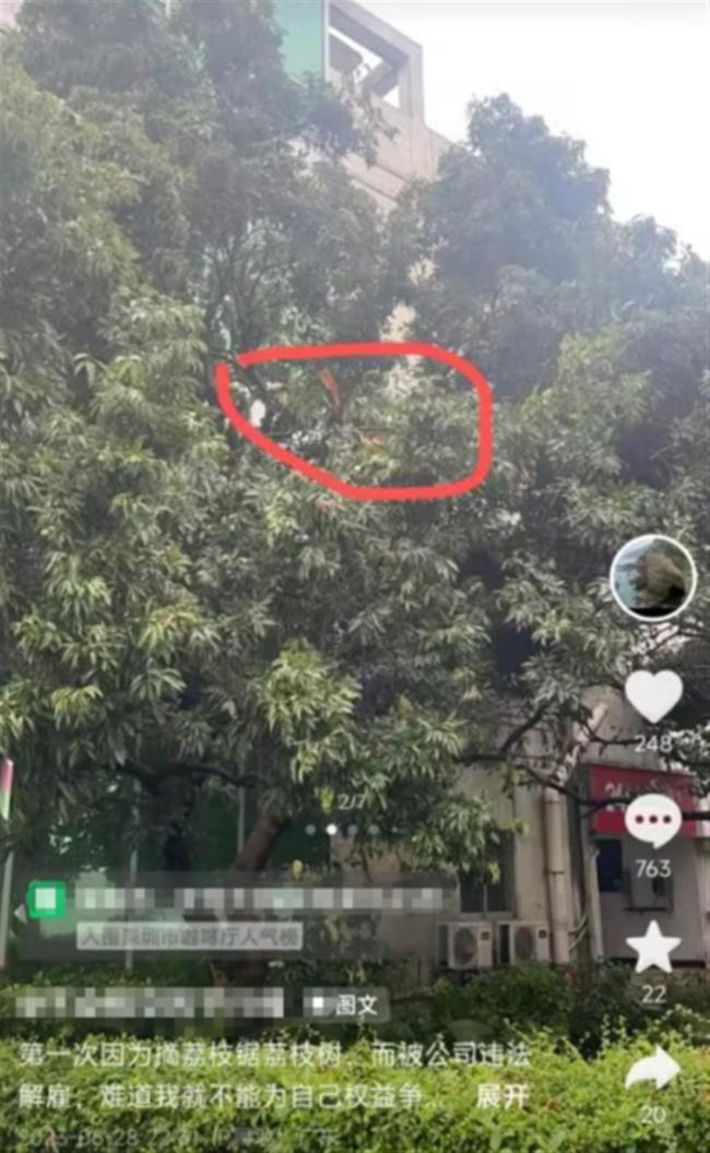 QQ图片20230630180223.png